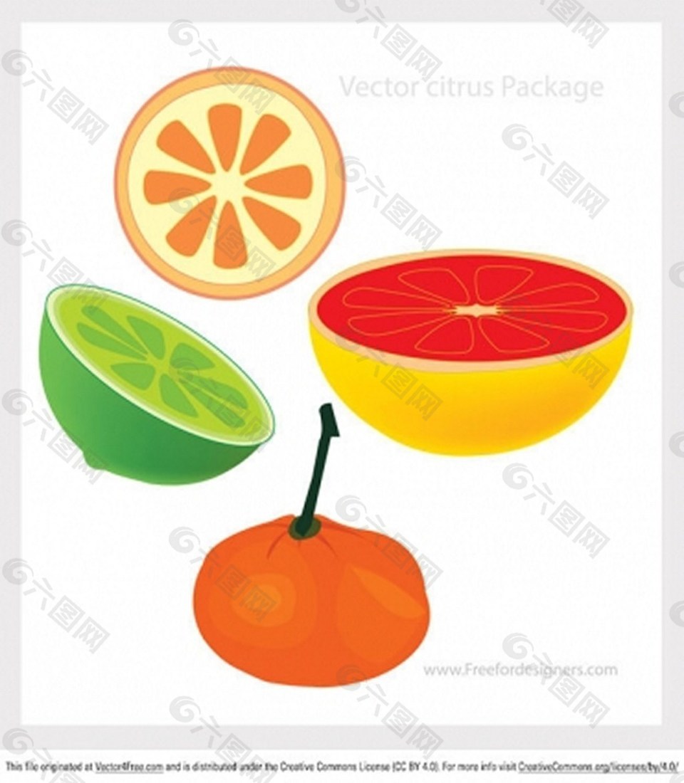 切开的柑橘平面广告素材免费下载(图片编号:7