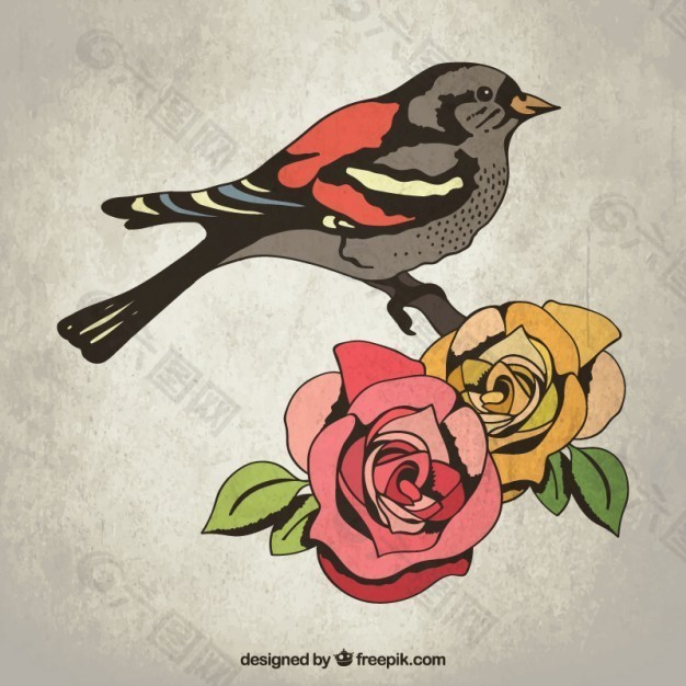 手绘的鸟和玫瑰