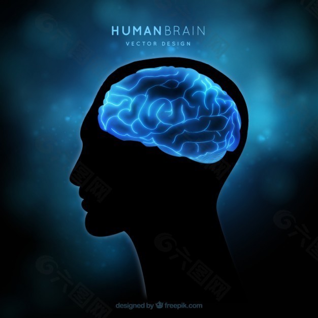 人的大脑在蓝色背景上
