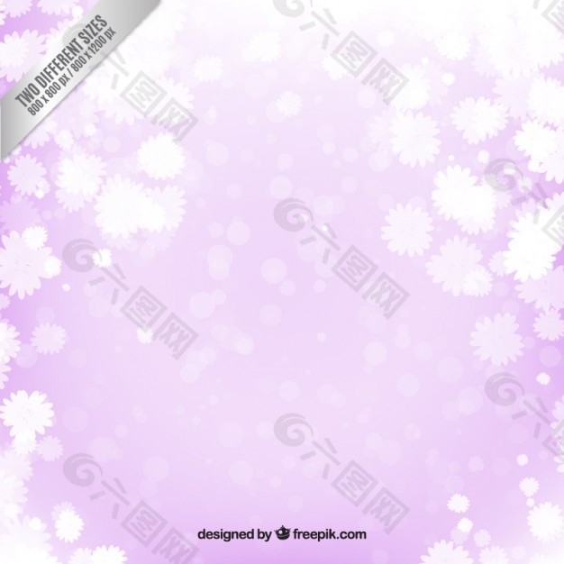 紫色背景上的白色花朵