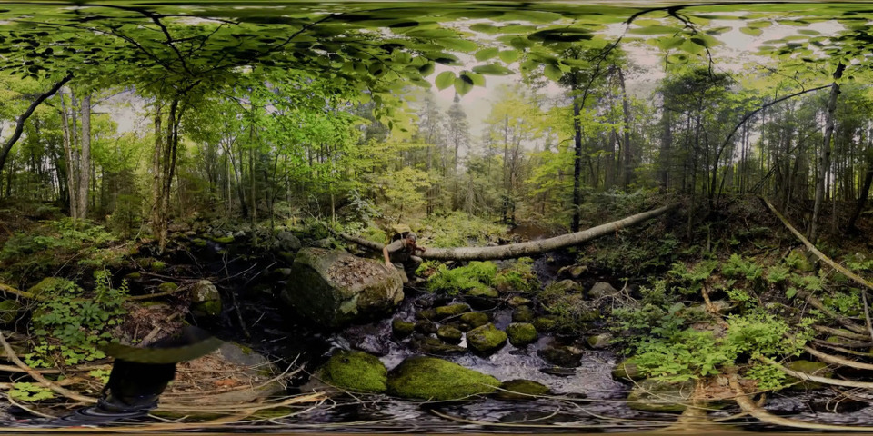 全景荒野求生VR视频