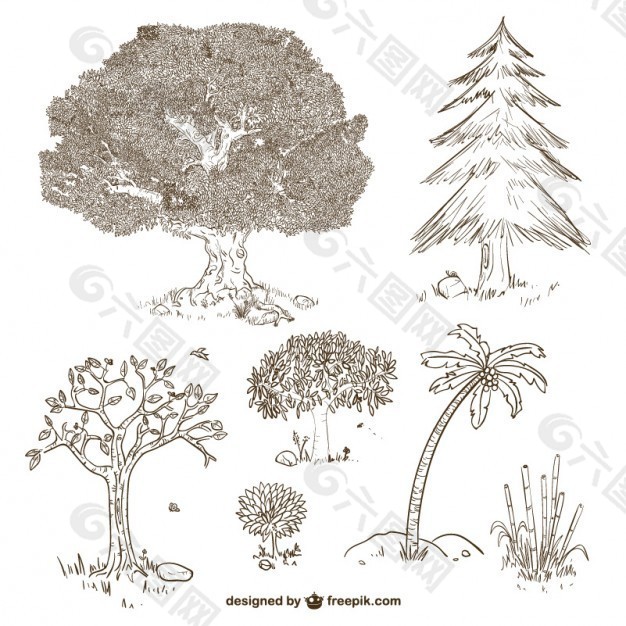 树木和植物图纸