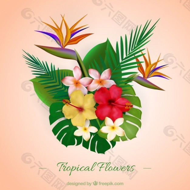 现实的热带花卉品种