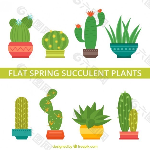 可爱的仙人掌种类