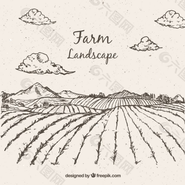 草图的农业景观