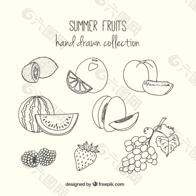 手工绘制的夏季水果收藏
