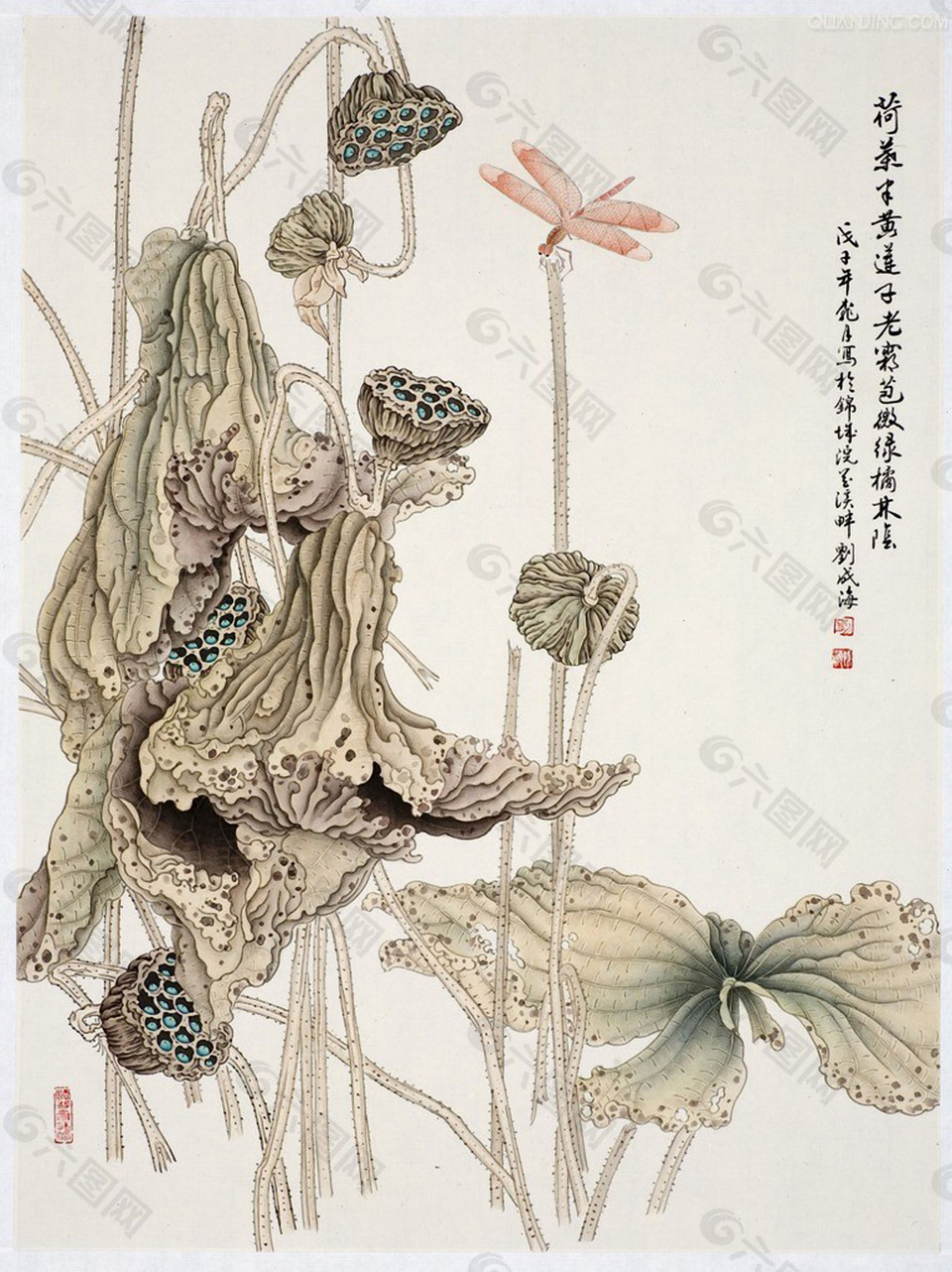 工笔  荷叶  莲蓬  蜻蜓
