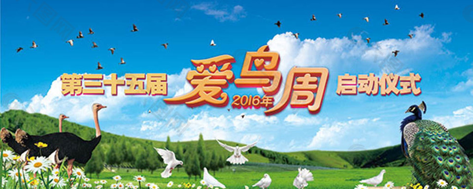环保爱鸟周启动仪式背景psd分层素材