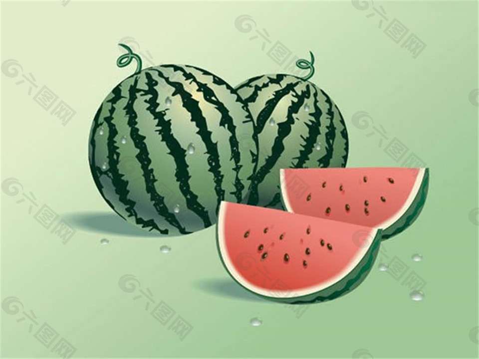 逼真的矢量西瓜