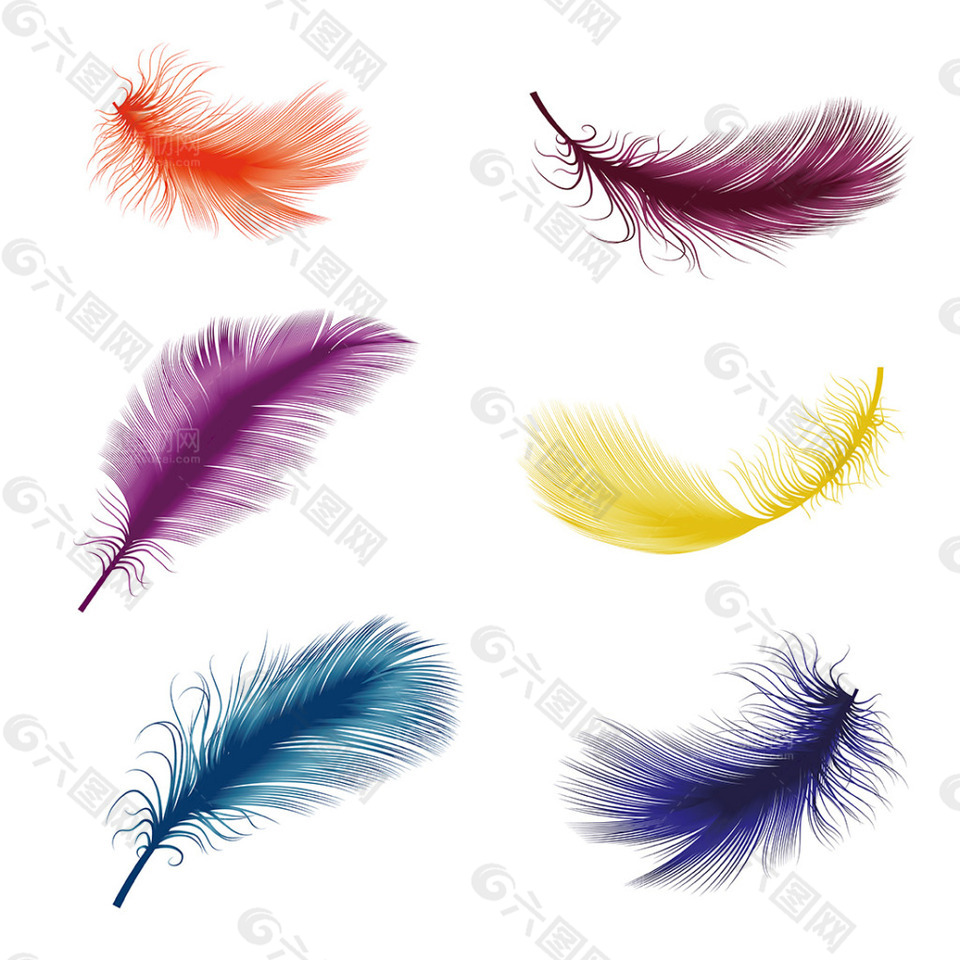 精美彩色羽毛设计矢量素材