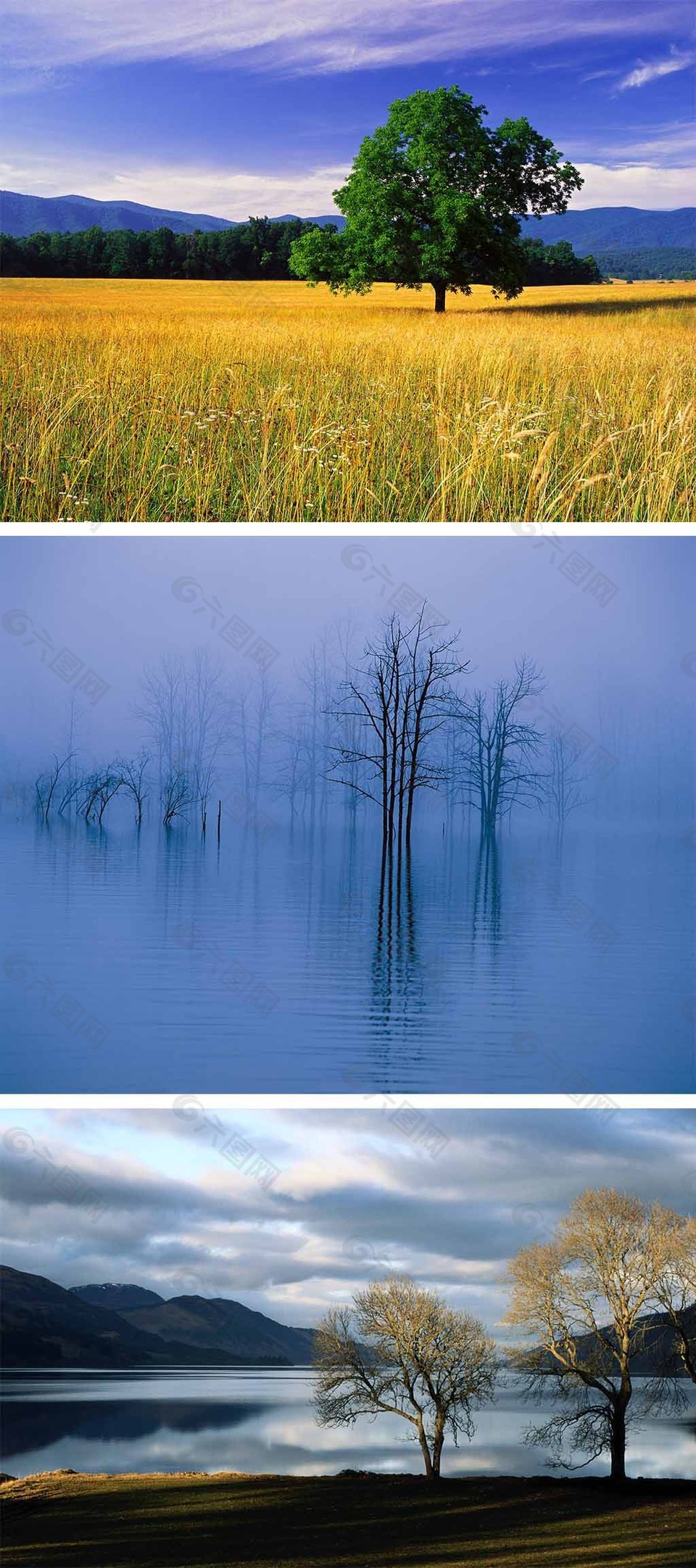 自然风光河边树蓝天背景图片