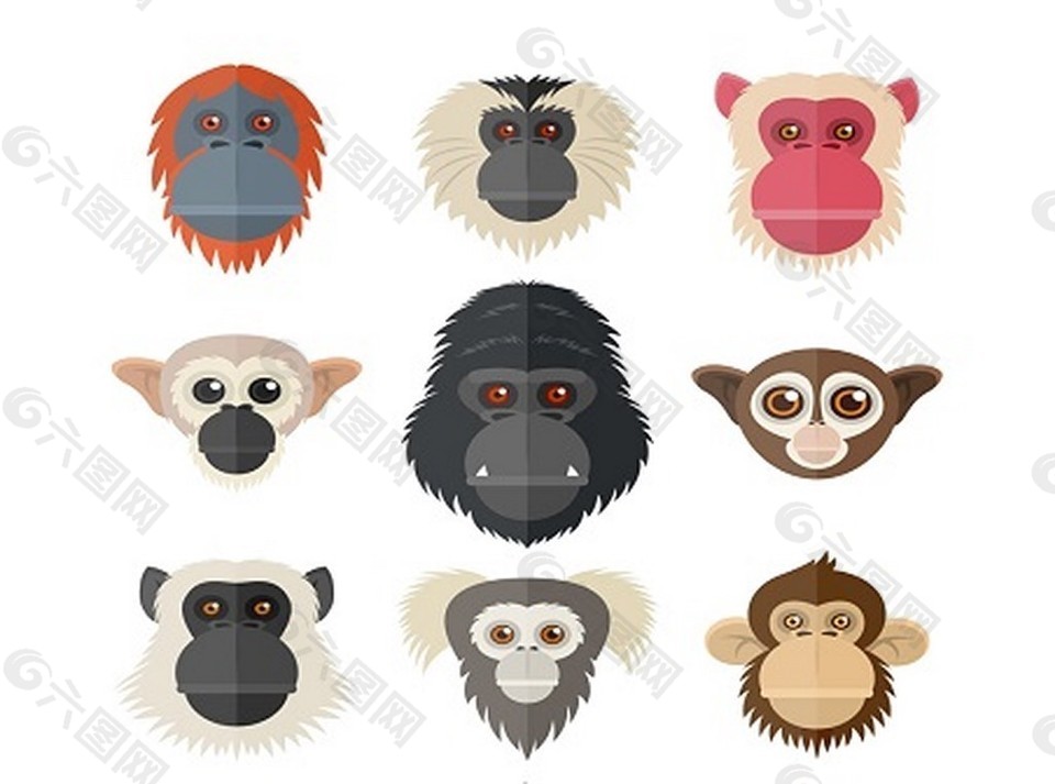 9创意猴子头
