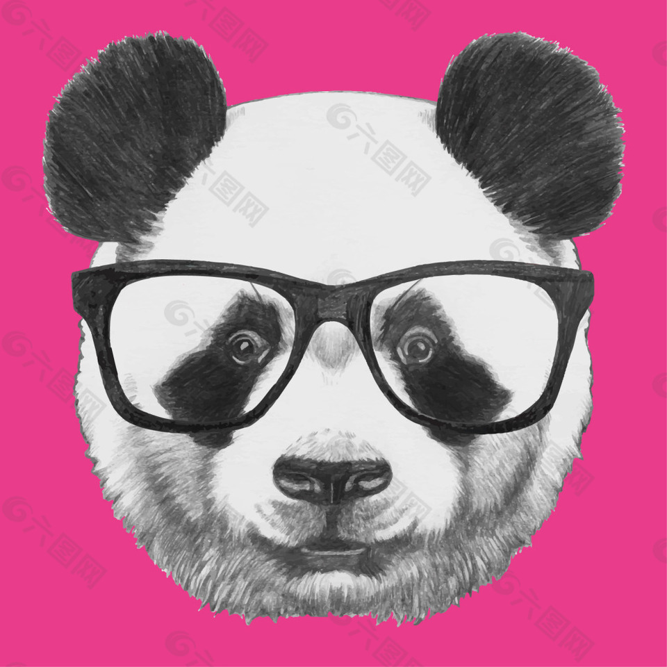 带眼镜的大熊猫