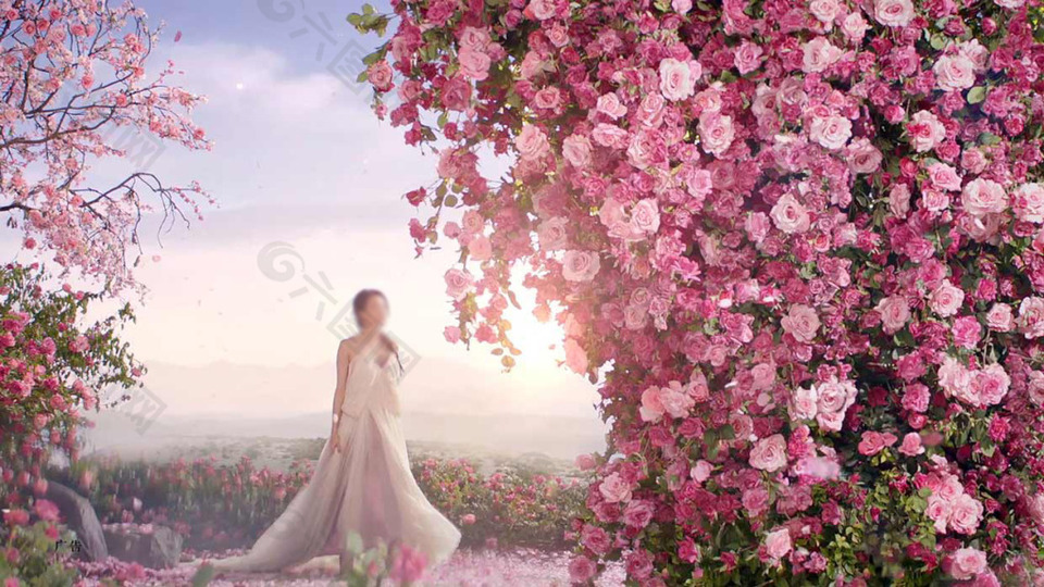 粉色花朵玫瑰花园背景素材免费下载 图片编号 六图网