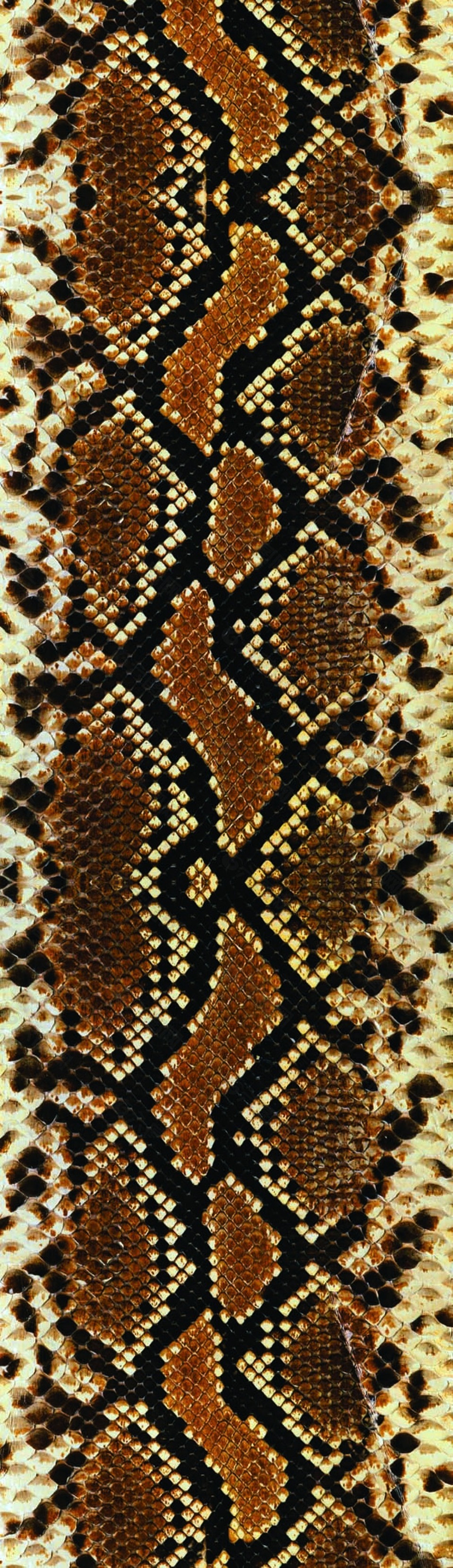 蛇皮数码印花花型