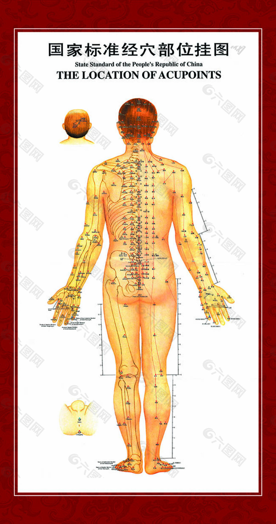 国家标准经穴部位挂图psd