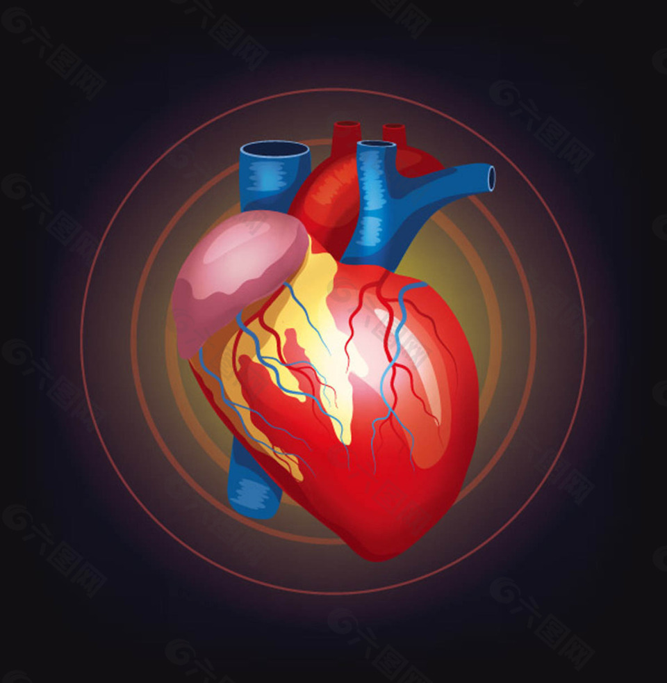 人体心脏器官设计矢量素材,