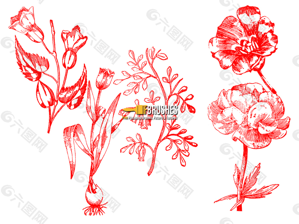 复古式植物鲜花图案、版刻花纹PS笔刷下载