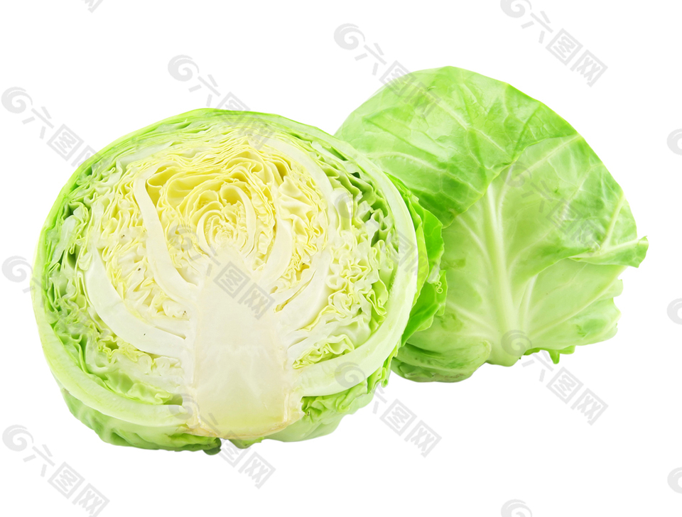 PSD免扣大白菜素材画面