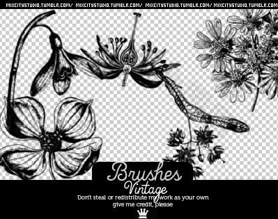 彼岸花效果花纹图案PS笔刷