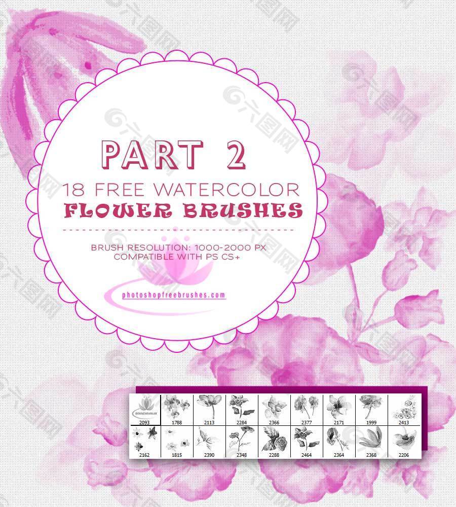 18种水彩、水粉花卉、鲜花绘画图形Photoshop笔刷 #.2