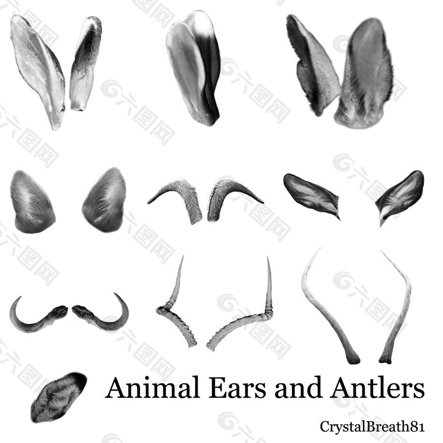 兔子耳朵、羊角、羚羊角、鹿角、猫耳朵Photoshop笔刷素材
