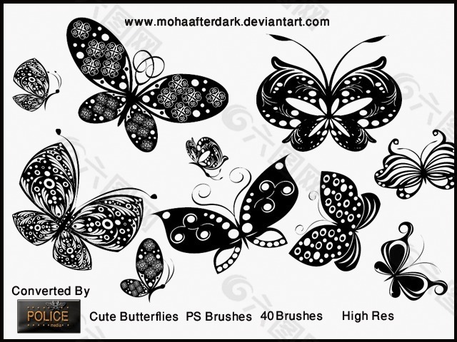 漂亮的矢量蝴蝶花纹笔刷