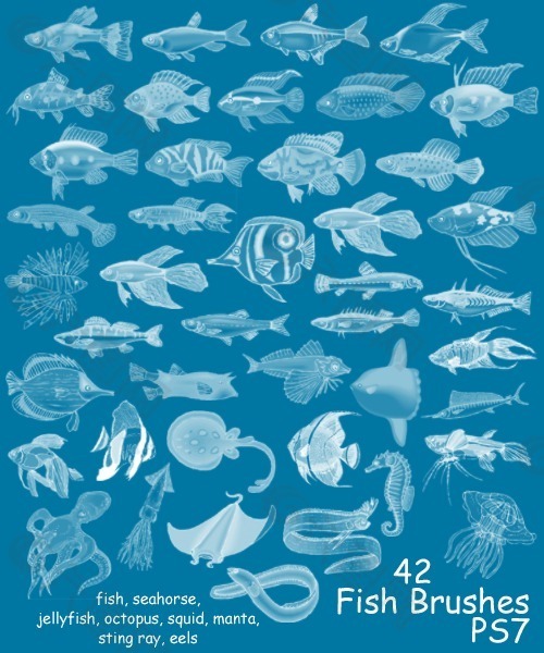 42种海洋鱼类海底生物笔刷