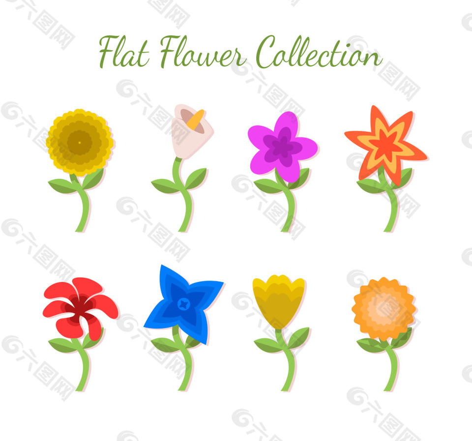五颜六色的花卉