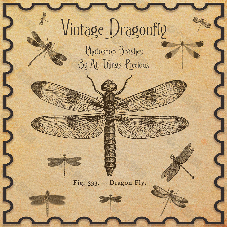 古典式蜻蜓昆虫PS笔刷