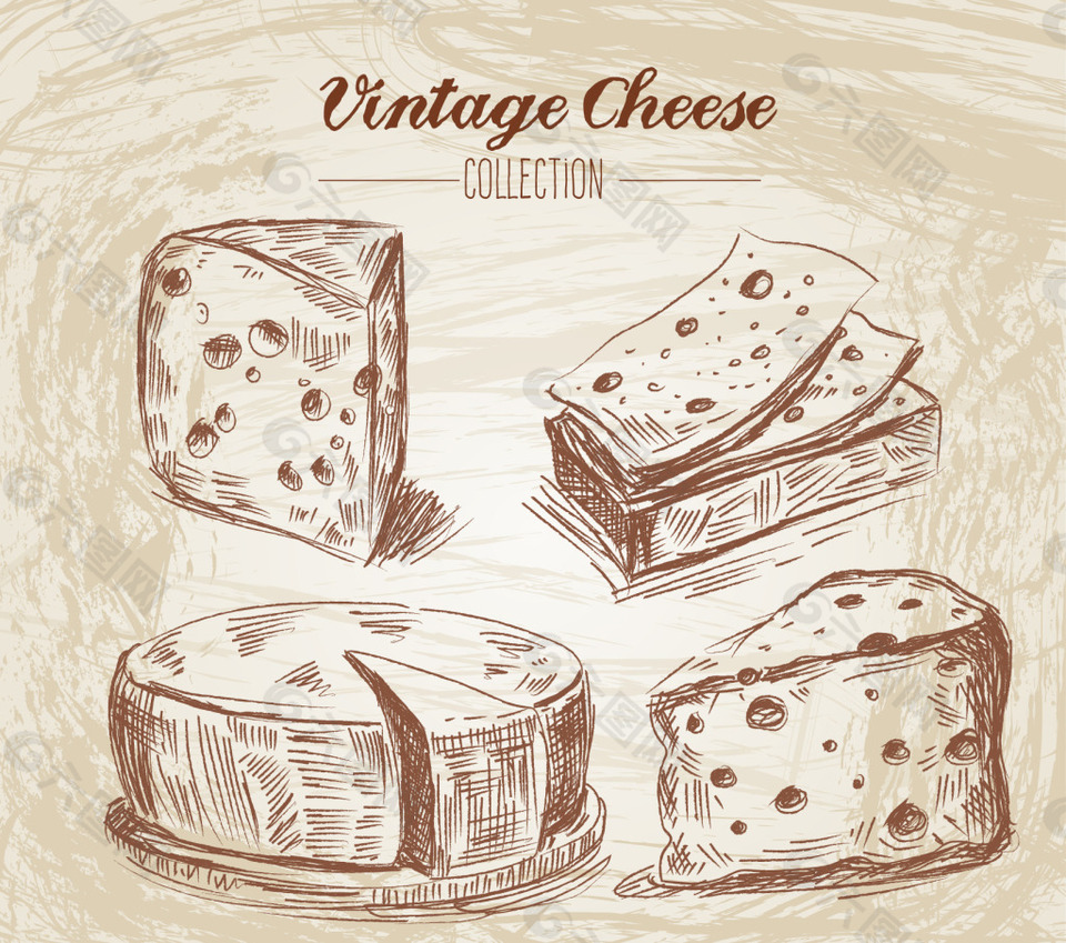 手工绘制的老式风格的奶酪