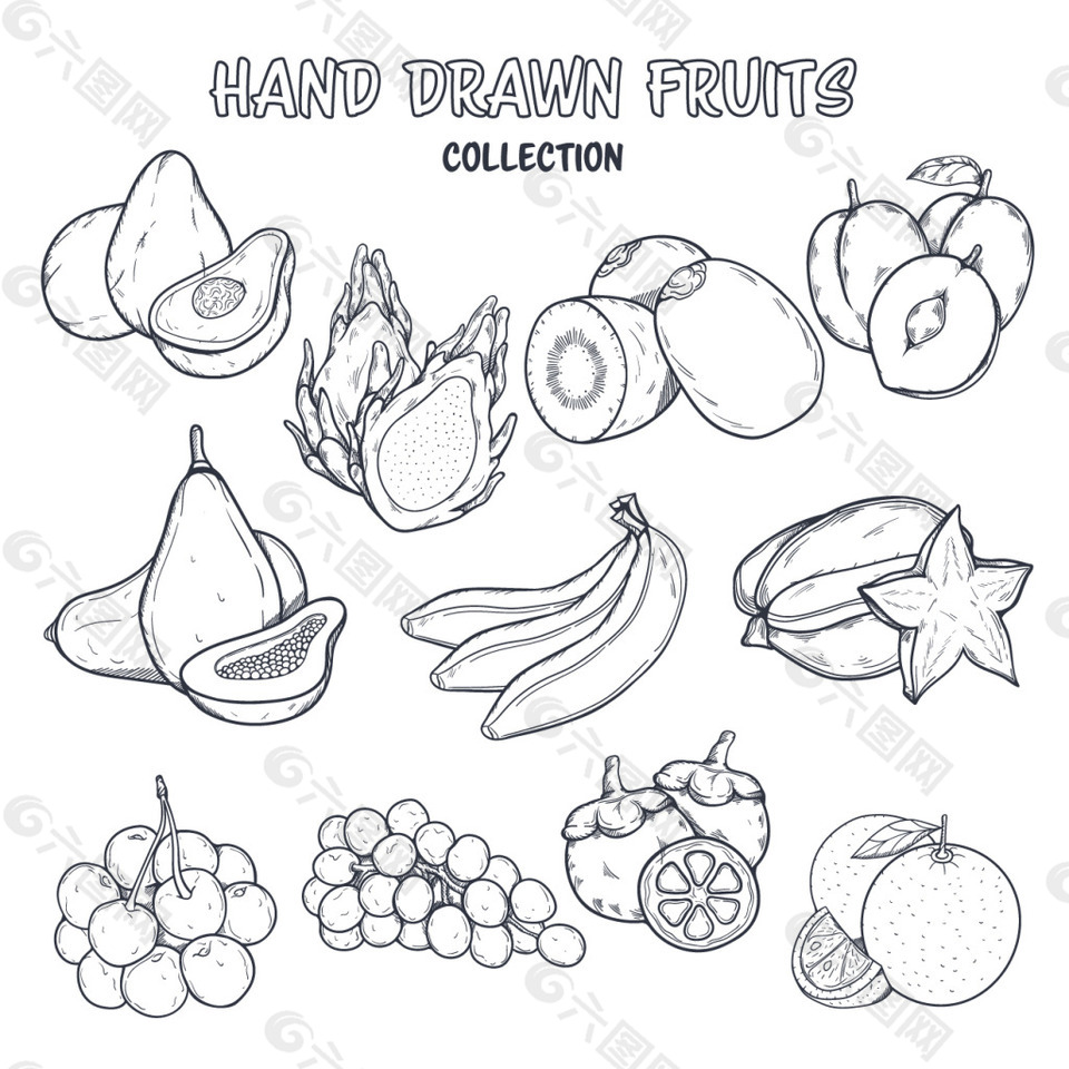 手绘线描水果素材