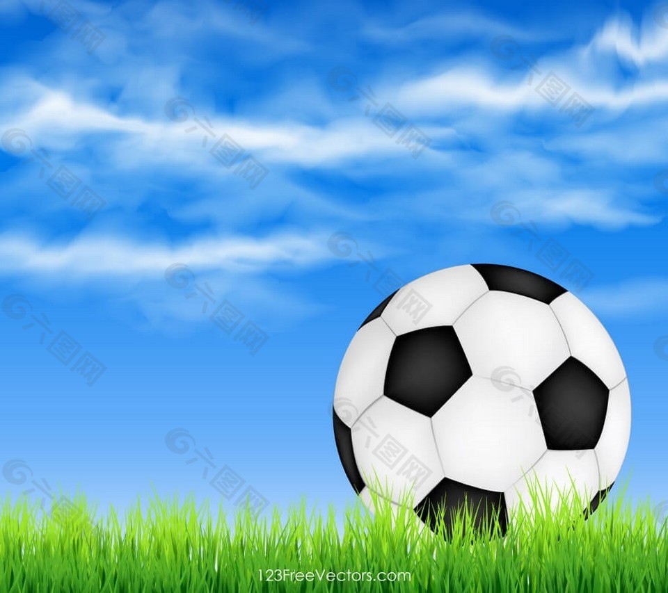足球在绿草地上