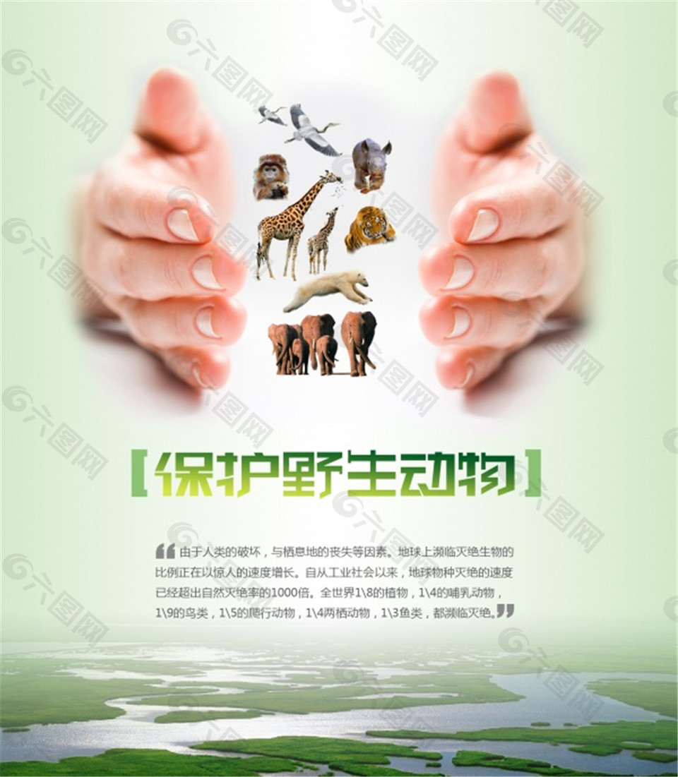 关爱保护野生动物PS素材