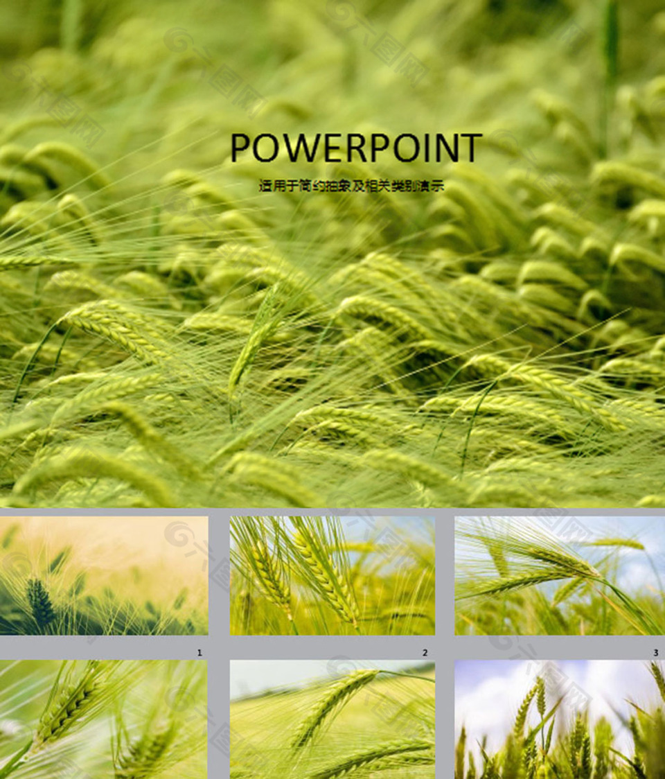 绿色种植ppt背景图片ppt模板素材免费下载(图片编号:7929995)-六图网