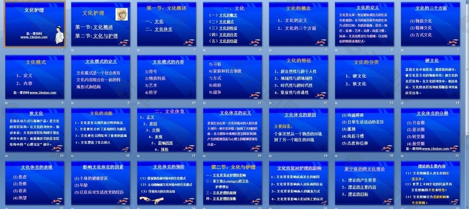 基础护理学文化护理课件