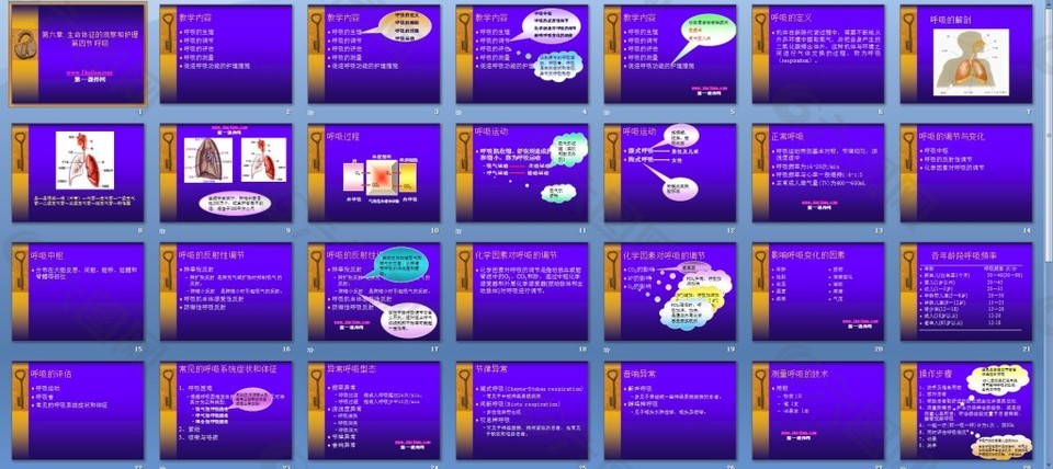 生命体征的观察和呼吸