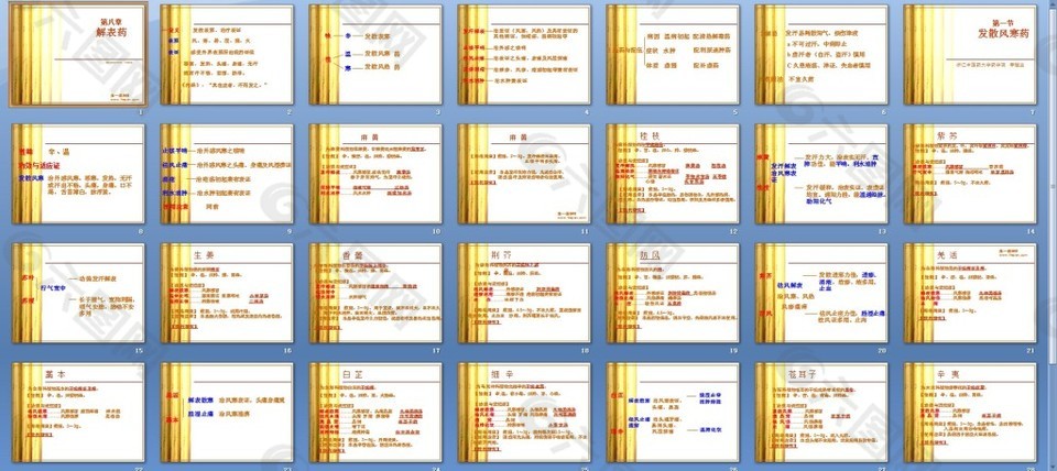 中药学发散风寒药课件