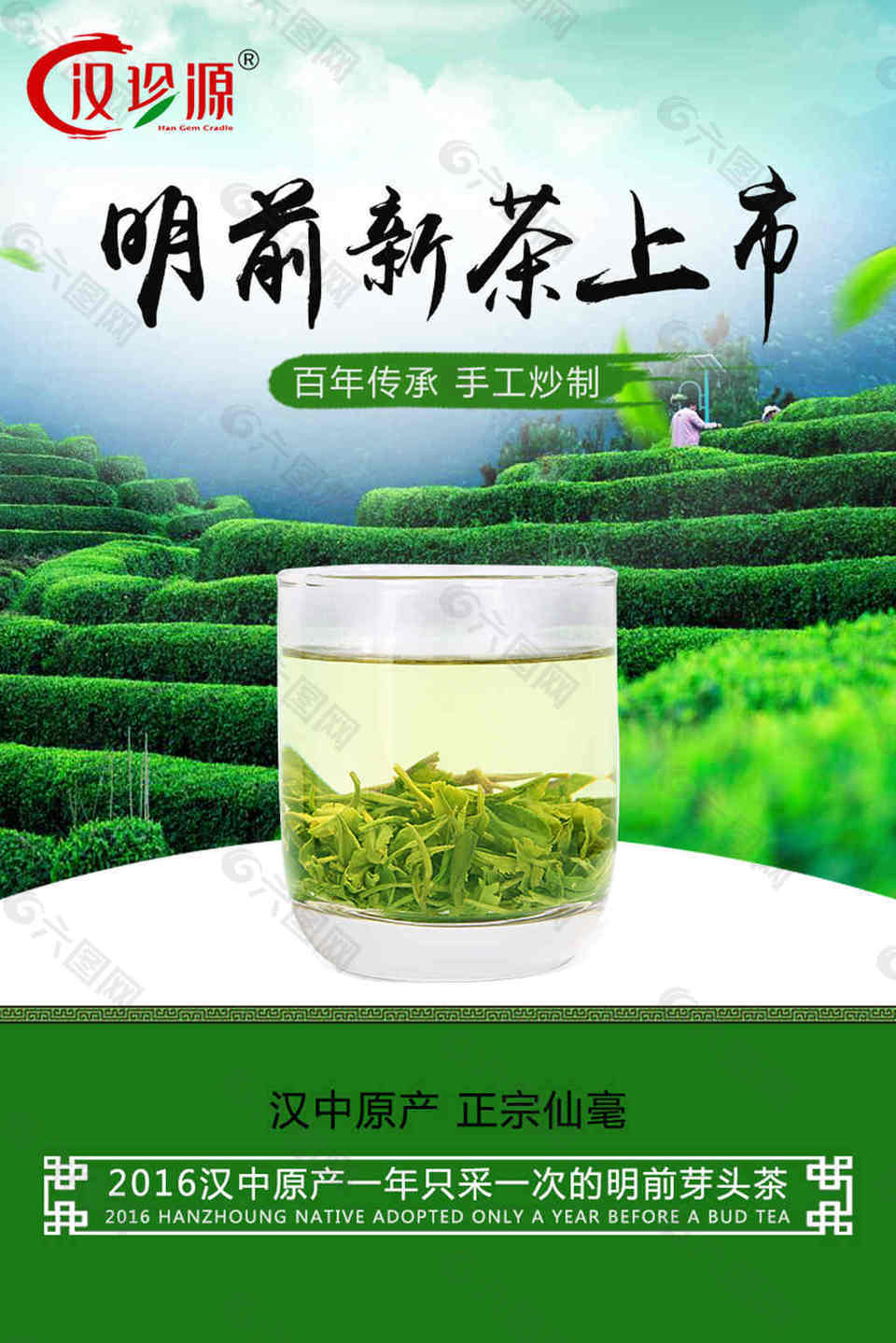 明前新茶 闪屏海报 汉中仙毫茶叶活动海报