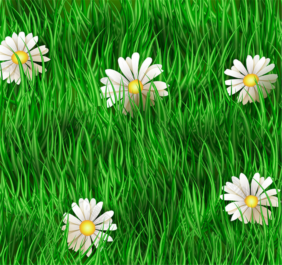 草丛间的白色雏菊花矢量素材