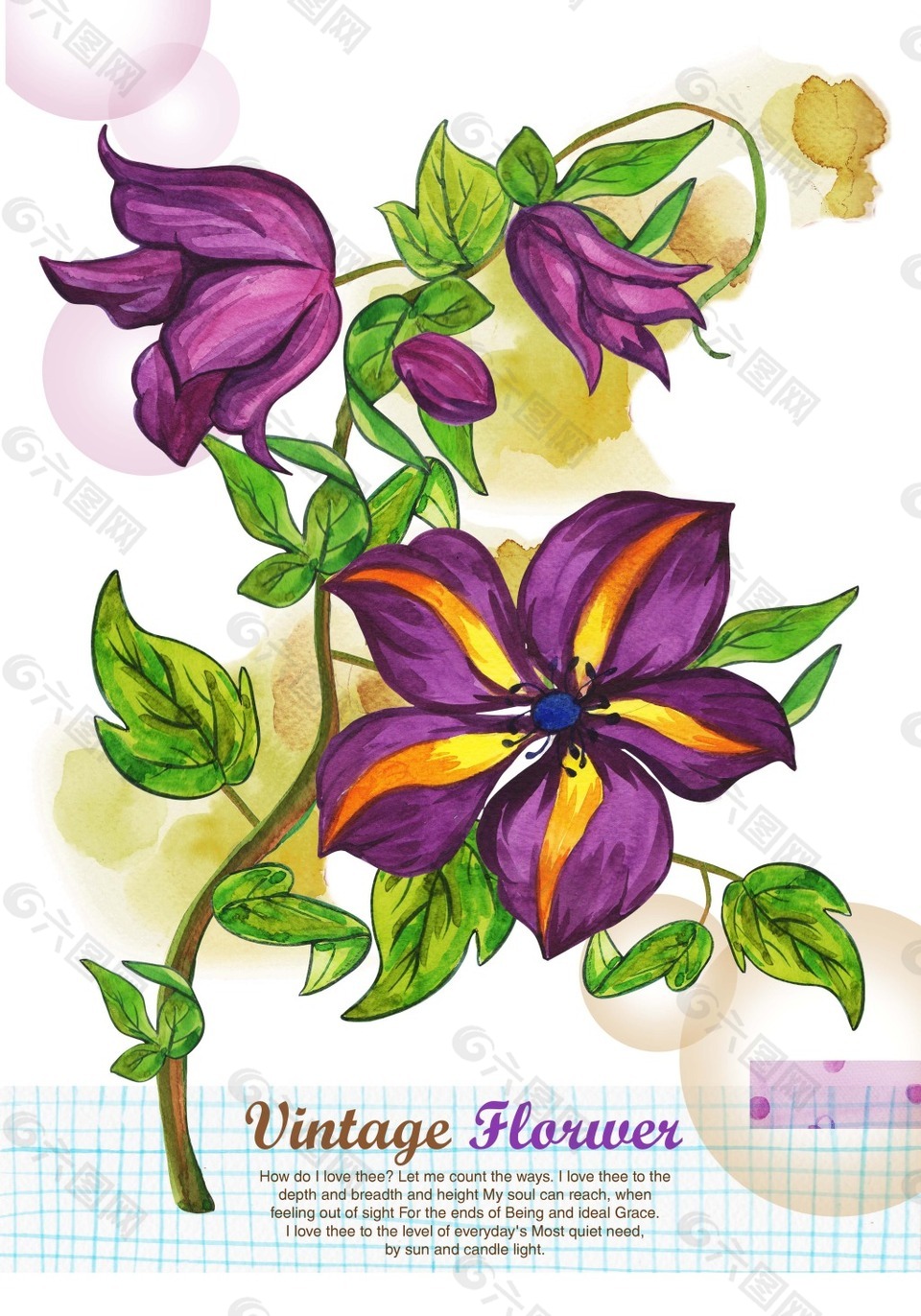 韩式小清新手绘紫色花朵