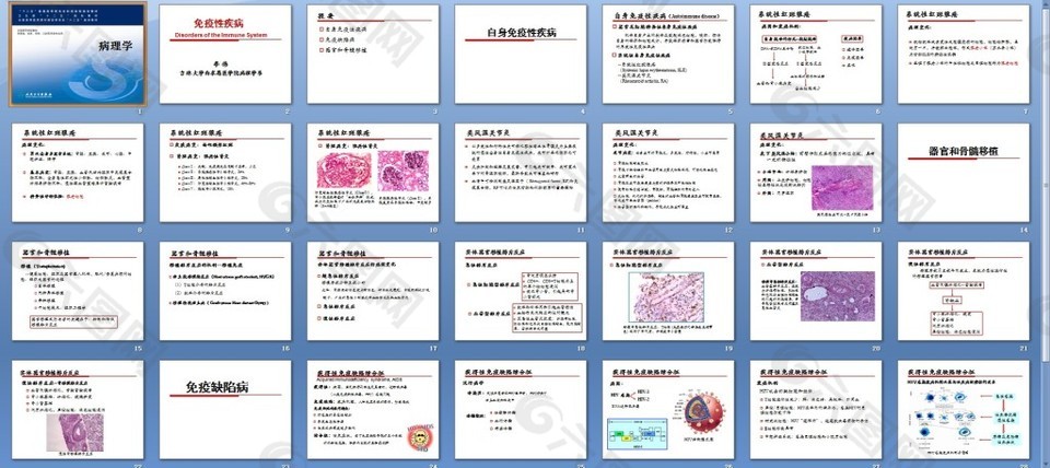 病理学-免疫性疾病课件PPT模板素材免费下载(图片编号:7943981)-六图网