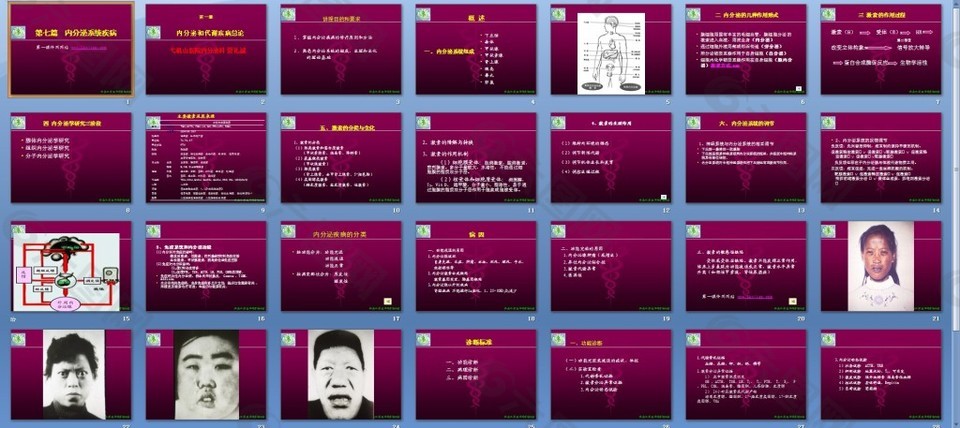 内分泌和代谢疾病总论