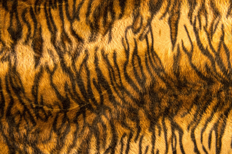 动物毛皮材质设计元素素材免费下载 图片编号 六图网