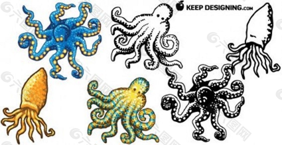 章鱼设计图案