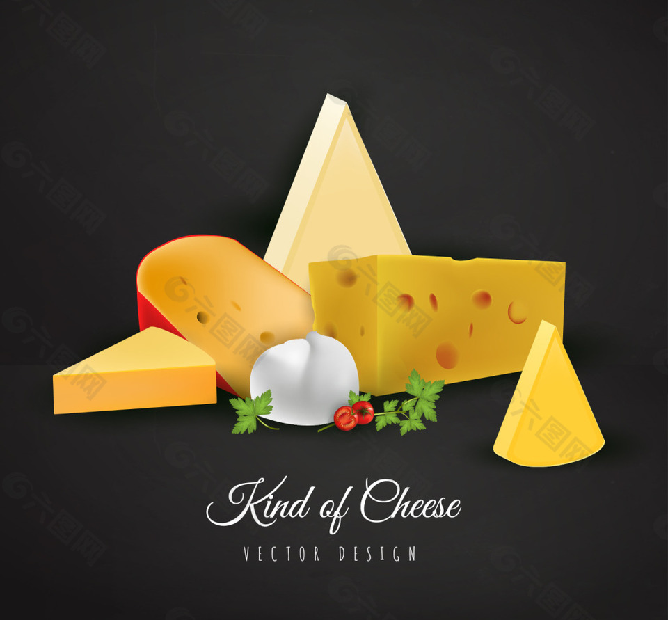 各种真实奶酪