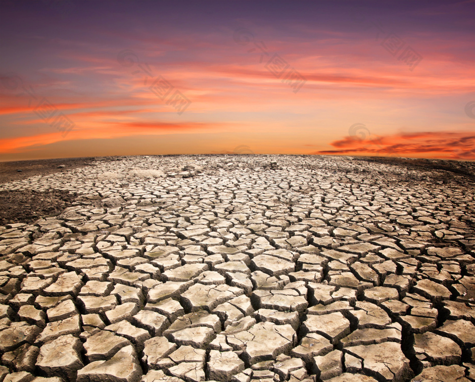 干涸裂纹干燥土地表面