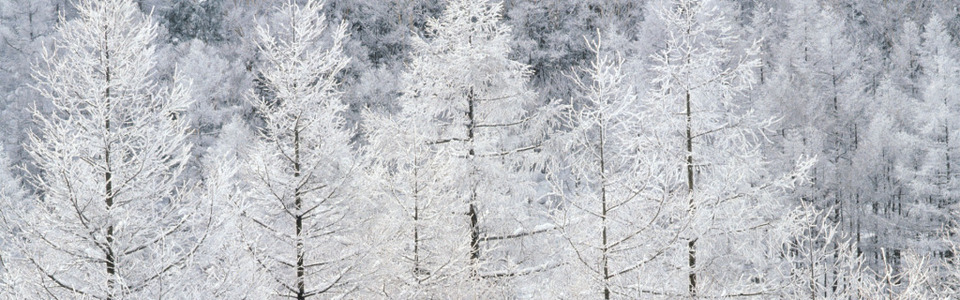 雪山雪景背景免费下载