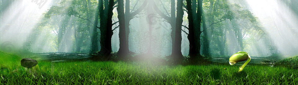 森林背景背景素材免费下载 图片编号 六图网