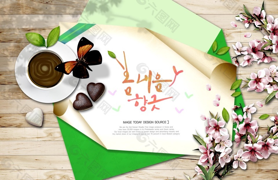 韩国风格花卉插画